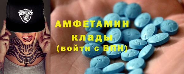 твердый Козельск