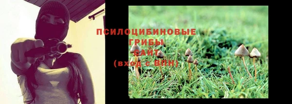 трава Кодинск