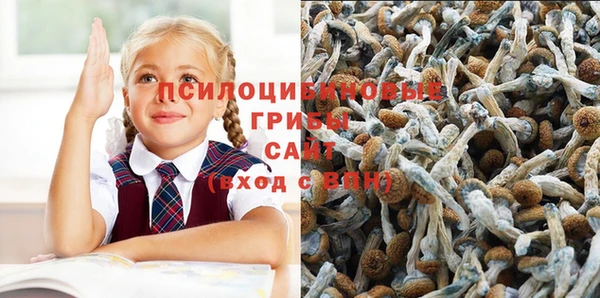каннабис Козловка
