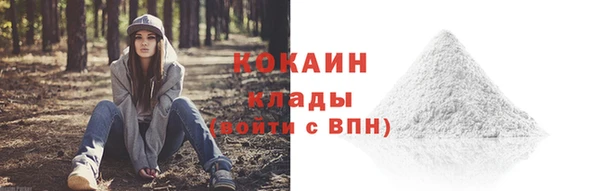 трава Кодинск