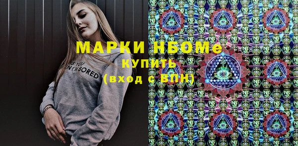 твердый Козельск