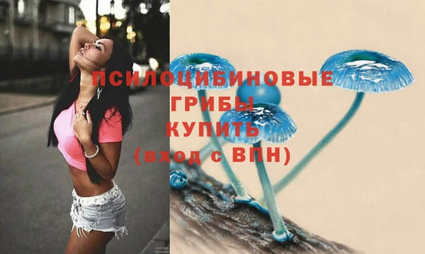 твердый Козельск