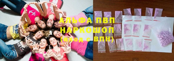твердый Козельск