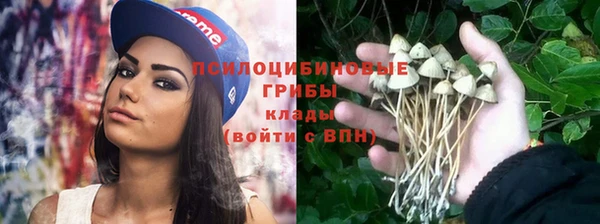 твердый Козельск