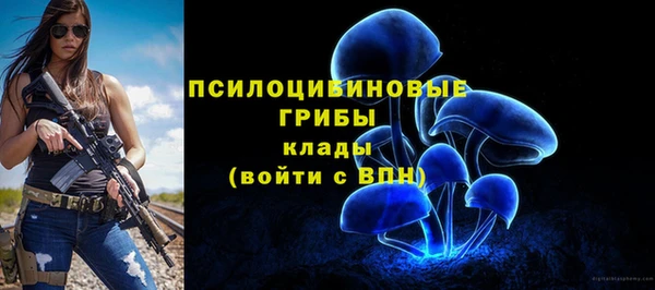 твердый Козельск